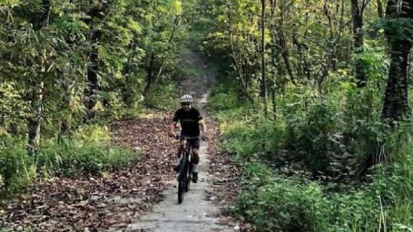 Hutan Tinjomoyo Hutan Tinjomoyo (Disbudpar Semarang)