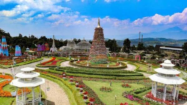 Taman Bunga Celosia Taman Bunga Celosia (Foto: Taman Bunga Celosia)