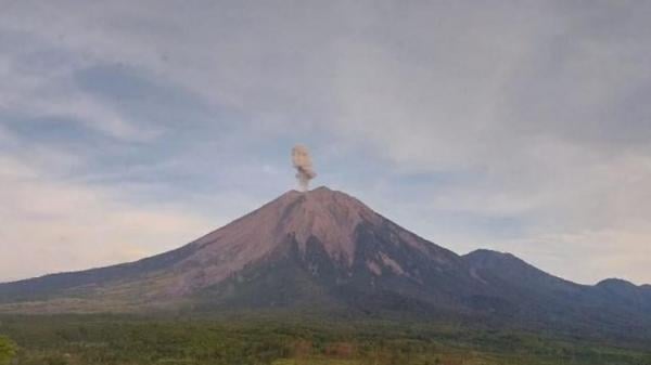 Gunung Semeru Erupsi Hari Ini, Muntahkan Abu Vulkanis Setinggi 700 Meter