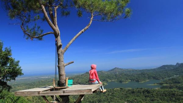 10 Tempat Wisata di Kulon Progo, Destinasi Seru untuk Liburan Keluarga