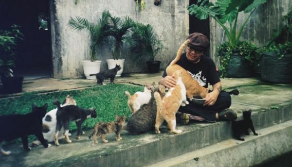 Banyak yang Percaya Kucing Tidak Suka Minum, Ini Faktanya