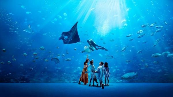 Yuk Lihat Lebih Dekat Berbagai Makhluk Laut di S.E.A Aquarium Singapura!