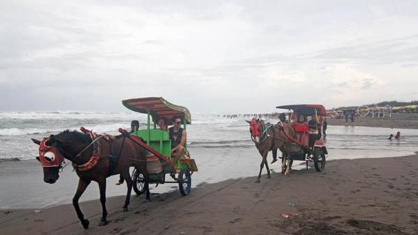 Libur Nataru, 150.000 Wisatawan Kunjungi Pantai Parangtritis