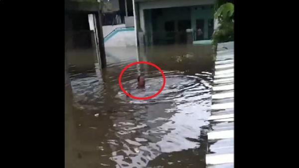 Viral Emak-Emak Terobos Banjir Setinggi Leher di Makassar demi Ambil Barang Berharga