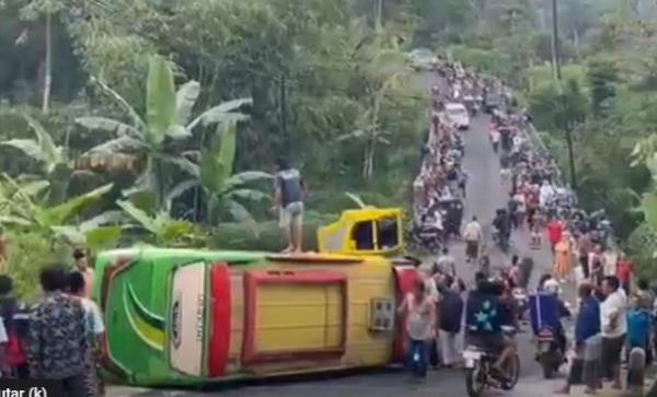 Kecelakaan Bus Peziarah asal Demak Terguling di Blado Batang, 15 Luka-Luka