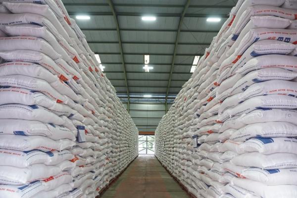 Stok CBP Tembus Rekor Terbaru, Bulog Serap 2,4 Juta Ton Beras Petani
