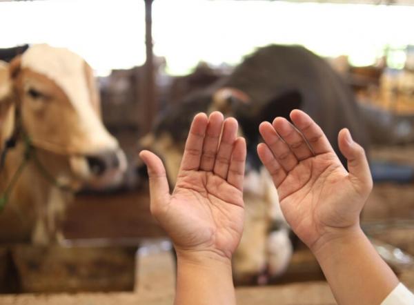 Berapa Hari Tasyrik setelah Idul Adha 2025? Simak Jadwal dan Amalannya