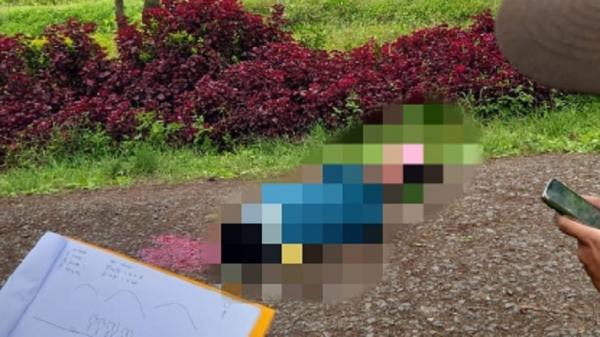 Kronologi Pekerja Ditembak KKB di Papua, Sempat Lari dan Dikejar Pelaku Langsung Dieksekusi