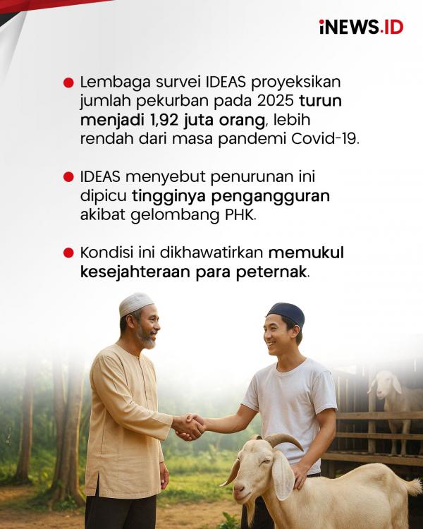 Pekurban di RI Tahun Ini Diramal Anjlok, IDEAS: PHK Biang Keroknya