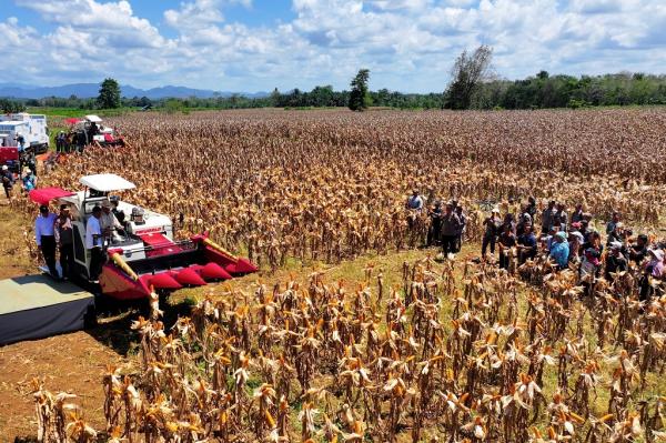 Polisi Ikut Memanen Jagung, DPR: Polri sudah Masuk ke Sistem Swasembada Pangan