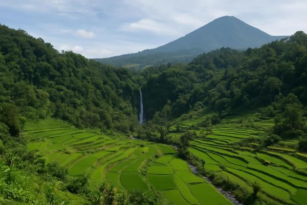3 Jalur Alternatif ke Tawangmangu yang Gak Pernah Bikin Stres di Google Maps, Pas Buat Healing Sekeluarga