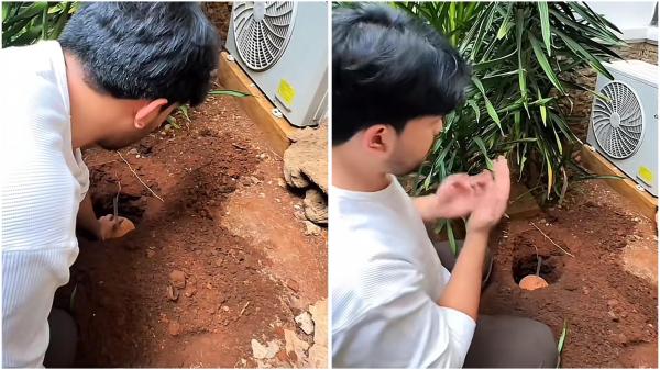Thariq kubur ari-ari Momen Thariq Halilintar mengubur ari-ari anak pertamanya di pekarangan rumah. (Foto: TikTok)