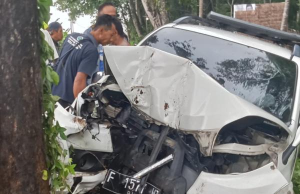 Kecelakaan Maut Toyota Rush Tabrak Pohon di Cianjur, Kades dan Istri serta Anaknya Tewas