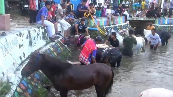 Tradisi Turun-temurun Mandikan Kuda di Sungai Kuningan, Daya Tarik Wisata Religi 1 Muharam