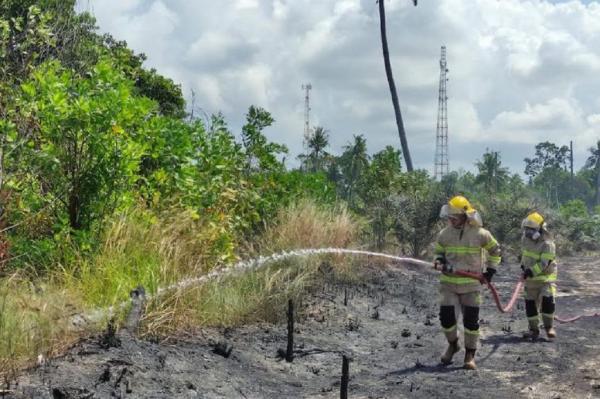 Titik Panas di Kalbar Meluas hingga Perbatasan Malaysia, Ini Langkah BMKG Atasi Karhutla