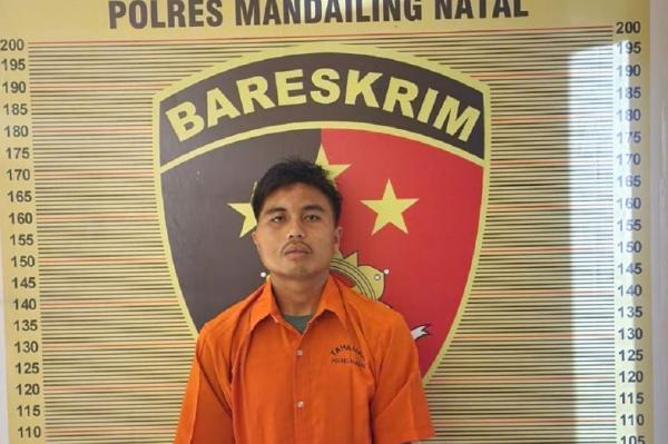 Pembunuh Siswi SMA Anggota Paskibra di Madina Ditangkap, Ini Tampangnya