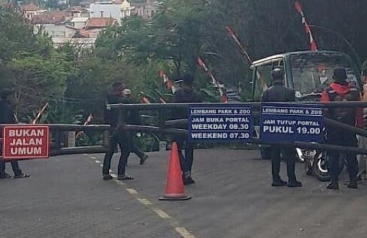 Geger! Macan Tutul Kuningan Lepas dari Kandang Karantina di Bandung, Warga Resah