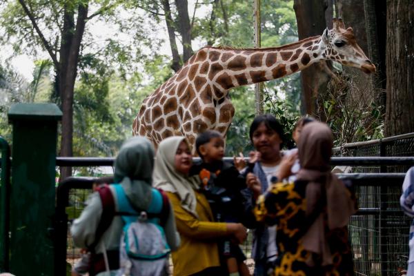Ragunan Diserbu Wisatawan di Long Weekend Isra Miraj, Pengunjung Mulai Berdatangan