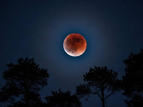 Gerhana bulan total atau blood moon akan terjadi di seluruh wilayah Indonesia pada 7-8 September 2025. (Foto: Ilustrasi AI)