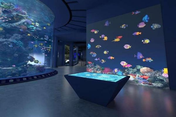 Keajaiban Dunia Laut dengan Eksibit Baru. (Foto: dok Singapore Oceanarium)
