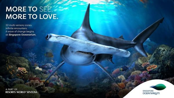 Menyusuri Keindahan Singapore Oceanarium, Wisata Edukatif untuk Liburan Keluarga