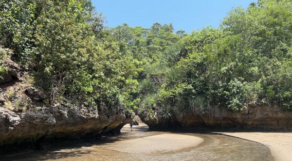 Indahnya Pantai Pelang di Trenggalek, Jawa Timur. (Foto: Annastasya Rizqa)