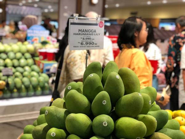 Mangga Harumanis Mangga Harumanis. (Foto: Muhammad Sukardi)