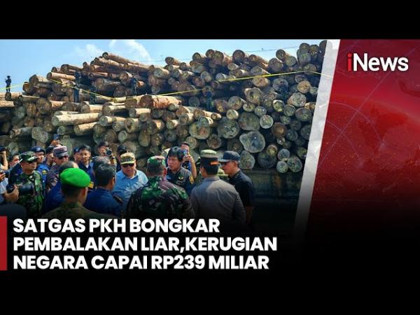 Kayu Hasil Pembalakan Liar Mentawai Senilai Rp230 Miliar Disita di Gresik, Hutan 730 Hektare Nyaris Ludes