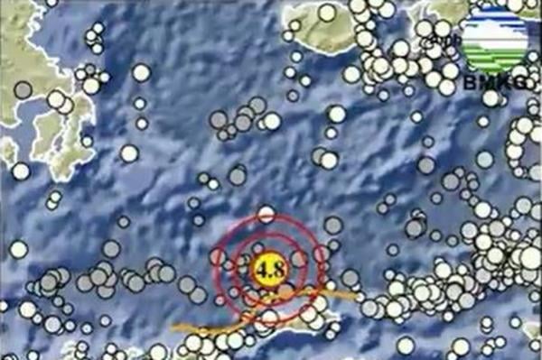 Gempa Hari Ini Magnitudo 4,8 Guncang Alor NTT