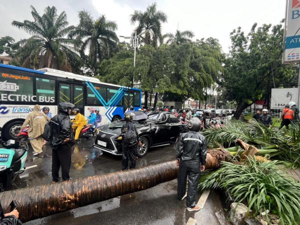 Pohon tumbang timpa mobil Lexus ringsek di Pondok Indah pada Minggu (26/10/2025). (Foto: iNews.id/Yudistiro)