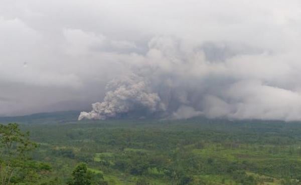 Gunung Semeru Erupsi Dahsyat, Warga Lumajang Panik Mengungsi ke Balai Desa