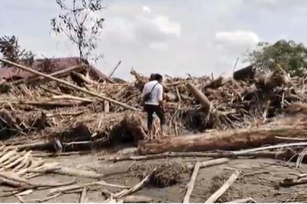 Kapolri Sebut Sudah Kantongi Tersangka Kasus Gelondongan Kayu di Sumut, Siapa?