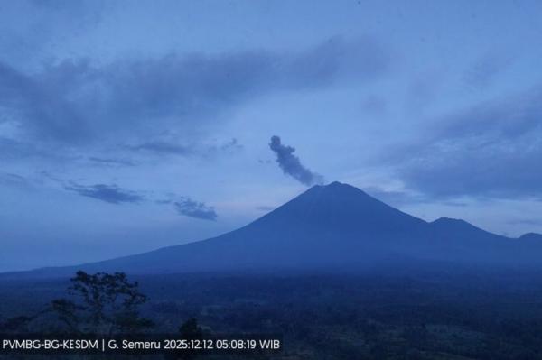 Gunung Semeru Erupsi Hari ini, Kolom Abu Capai 800 Meter