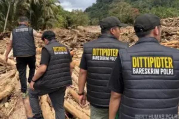 Bareskrim Usut Dugaan Pidana Lingkungan Hidup hingga TPPU terkait Kayu Gelondongan di Sumut