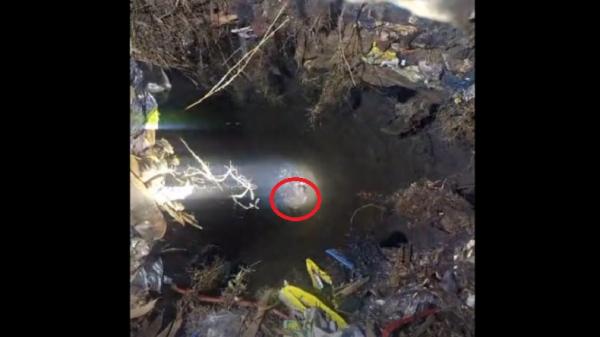 Lolos dari Maut, Pria di Bangkalan Ditemukan Lemas Terjebak 2 Hari di Sumur Tua