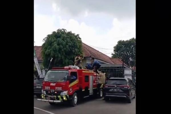 Viral Aksi Damkar Padamkan Kebakaran Pakai Baju Korpri, Rela Tinggalkan Pelantikan PPPK