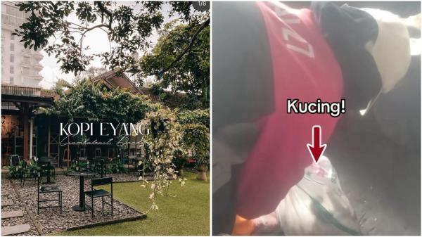 Alasan Kopi Eyang membuang kucing hidup-hidup akhirnya terungkap. (Foto: Instagram)