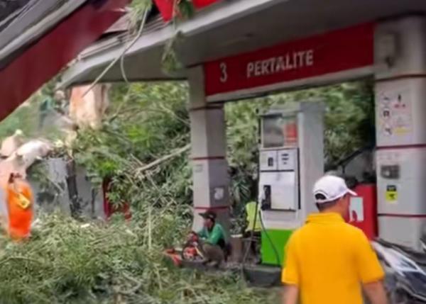 Cuaca Ekstrem Tumbangkan Pohon di SPBU Senen, Pemotor jadi Korban