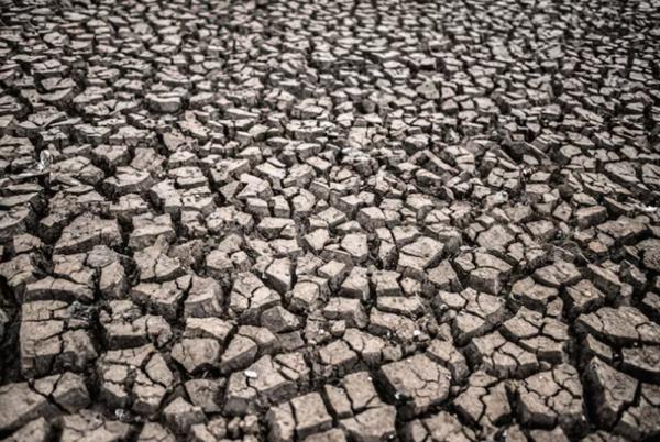 Bondowoso Jatim Dilanda Kekeringan, 149 KK Terdampak