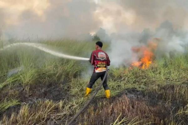 Kebakaran Lahan 2,5 Hektare di Palangka Raya Kalteng, Petugas Berjibaku Padamkan Api