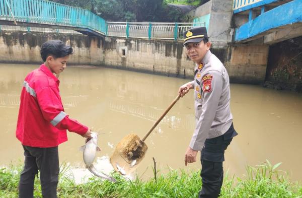 Geger Kebakaran Gudang Pestisida Buat Sungai di Tangsel Memutih, Ikan-Ikan Mati