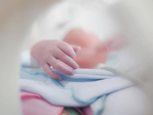 Anak kedua Zaskia dan Irwansyah Anak kedua Zaskia Sungkar dan Irwansyah bernama Urwah Muhammad Syahki. (Foto: Instagram)