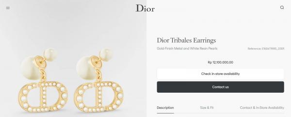 Anting yang dipakai Inul di Lebaran 2026. (Foto: Dior)