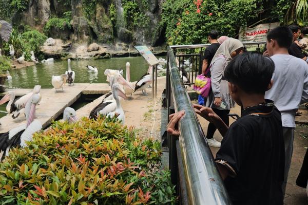 Ragunan Diserbu Wisatawan saat Libur Panjang May Day, Tembus 23.000 Orang