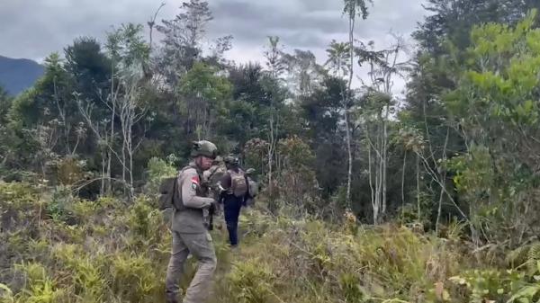10 Pendulang Emas Tewas Diserang KKB, Aparat Evakuasi Korban dan Kejar Pelaku ke Hutan