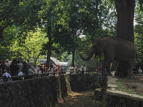Suasana Ragunan yang menjadi magnet liburan warga Jabodetabek. (Foto: Instagram)