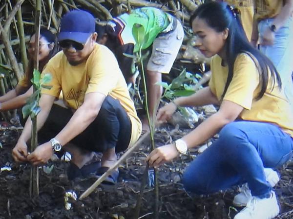 MNC Peduli dan Next Hotel Yogyakarta tanam 100 mangrove di kawasan Bantul. (Foto: Trisna Purwoko)