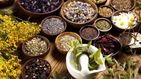 6 Herbal untuk Meningkatkan Kekebalan Tubuh di Musim Hujan, Bisa Ditemukan di Dapur