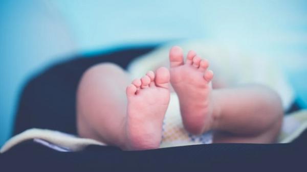 Bayi Baru Lahir Ditemukan Warga Luka Parah di Semak Balukar Kebun Teh Sidamanik