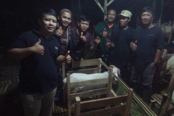 Sepenggal Kisah 'Si Balak Adu Domba' Jelang Perayaan Idul Adha 1442 Hijriah di Cirebon
